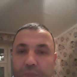 , 39, 