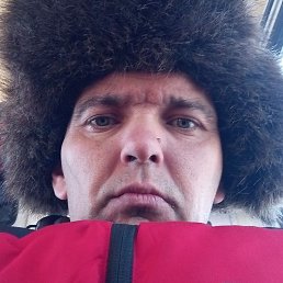 ������, ����������, 37 ���