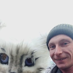 , 33, 
