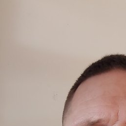 , , 43 