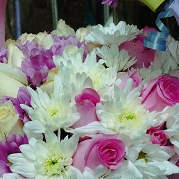 ���������, ���������, 34 ����