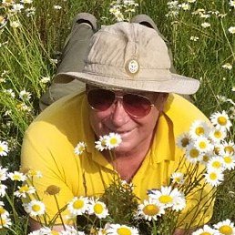 ������, ��������