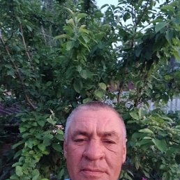 �������, 49 ���, ������