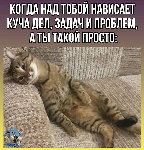 ☆������ �����☆ - 4 ������� 2025 � 00:20