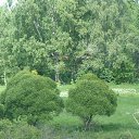 ���� ���������, �����, 55 ��� - ��������� 8 ����� 2025 � ������ ���� ���������� �����