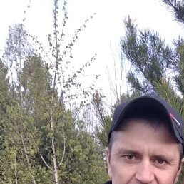 ������ ��������, 41 ���, ����������