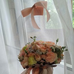 �����, ������