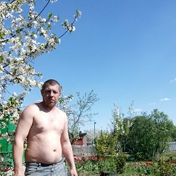 �����, 40 ���, ������������