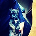 ���� �����, ������, 52 ���� - ��������� 21 ���� 2024