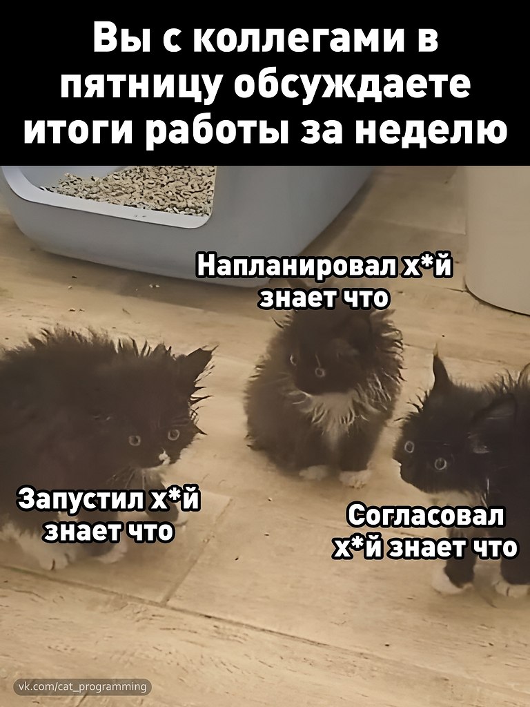 /zev/null - 20 апреля 2025 в 14:25