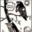 ���� �����, ������, 45 ��� - ��������� 9 ������� 2024 � ������ ���� ����������