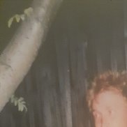 ����, 50 ���, ������