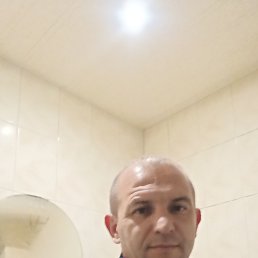 , 44, 