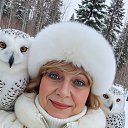 ���������� ���� � ����� 2026 �����! ���� �������, ����� � ����!) �� ������� ���� ����������