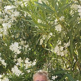 �������, ������, 47 ���