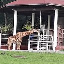 ���� ������, ��������� - ��������� 13 ������� 2024 � ������ ������ ��������