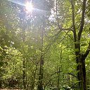 ���� ����, ������, 65 ��� - ��������� 8 ������ 2026 � ������ ���� ����������