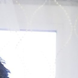 �����, �������, 65 ���