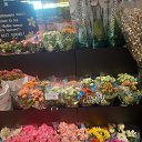 ���� Svetorada, ��������� - ��������� 5 ��� 2025 � ������ ������ ��������