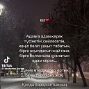 ���� ��������, ���������, 60 ��� - ��������� 28 ������� 2025