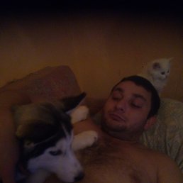 ������, �������, 37 ���