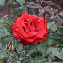 ���� Aleksandr, �����������, 64 ���� - ��������� 12 ���� 2026 � ������ ���� ����������