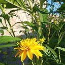 ���� �������, �������, 67 ��� - ��������� 12 ������ 2025 � ������ ���� ����������