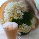 ���� ���, �����, 51 ��� - ��������� 28 ������� 2026 � ������ ������ ��������