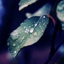 ���� ������, ���������, 57 ��� - ��������� 21 ���� 2024 � ������ ���� ����������