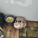 ���� �������, �������, 37 ��� - ��������� 16 ������ 2025 � ������ ���� ����������