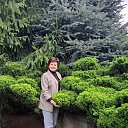 ���� ������, ������-��-����, 62 ���� - ��������� 12 ��� 2024 � ������ ���� ����������