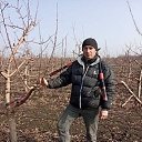 ���� Lupan, �������, 51 ��� - ��������� 3 ������� 2025 � ������ ���� ����������