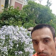 �����, 37 ���, ������