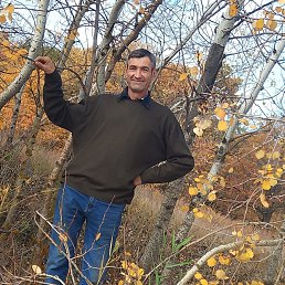 �����, 54 ����, ���������