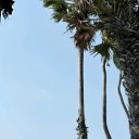 ���� ������, ������, 27 ��� - ��������� 18 ���� 2025 � ������ ���� ����������