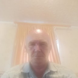 , 65, 
