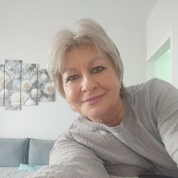 ���� ������, ���������, 50 ��� - ��������� 26 ����� 2026