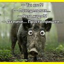 ���� ���, ������ - ��������� 7 ������� 2025 � ������ ���� ����������