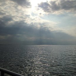 ���� Edvard, �����, 43 ���� - ��������� 21 ���� 2026