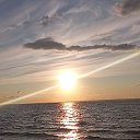 ���� �������, ������, 37 ��� - ��������� 1 �������� 2024 � ������ ���� ����������