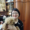 ���� ����, ������, 49 ��� - ��������� 20 ������� 2025 � ������ ���� ����������