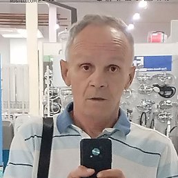 , 65, 