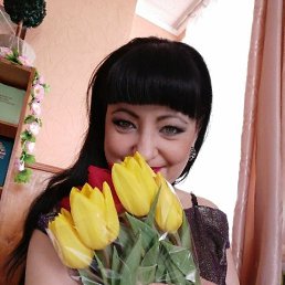 ����, 37 ���, ����������