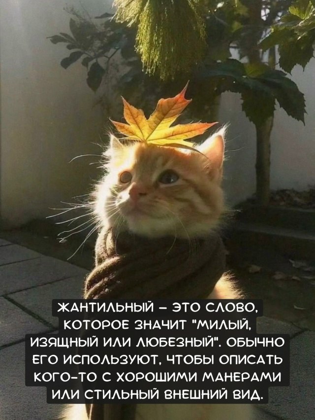 ���������� � ��� �����, ������� ������ "�����, ������� ��� ��������". ������ ��� ...