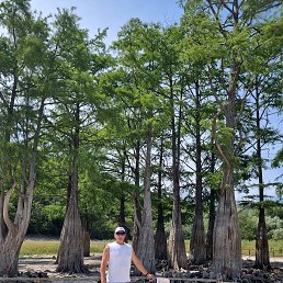 ���������, 45 ���, ��������