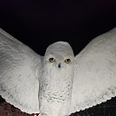 ���� ��������, ������, 65 ��� - ��������� 13 ������ 2024 � ������ ���� ����������