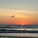 ���� ���������, �����-���������, 43 ���� - ��������� 5 ������ 2026 � ������ ���� ����������