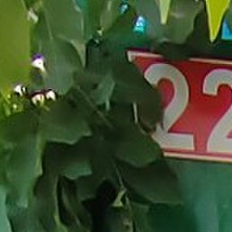 , , 37 