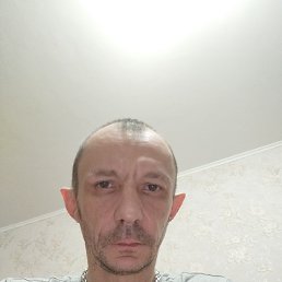 , 38, 