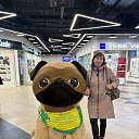 ���� �����, �����-���������, 55 ��� - ��������� 24 ������ 2025 � ������ ������ ��������